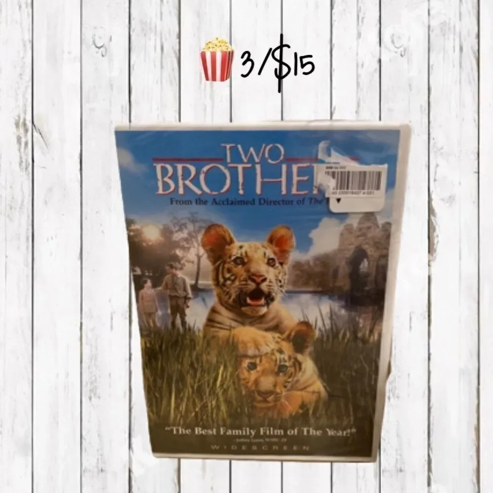 DVD Two Brothers The Best Family Film of the Year PG Widescreen 🍿3/$15 - Picture 2 of 12